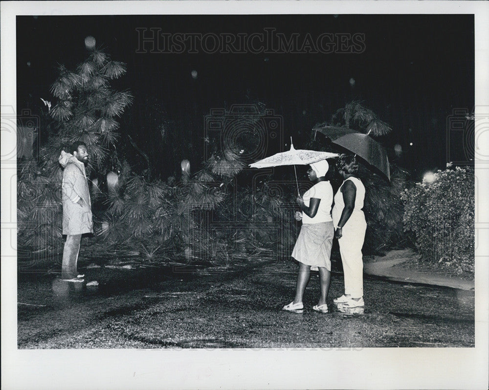 1977 Press Photo residents of 37th street gather around a fallen tree - Historic Images