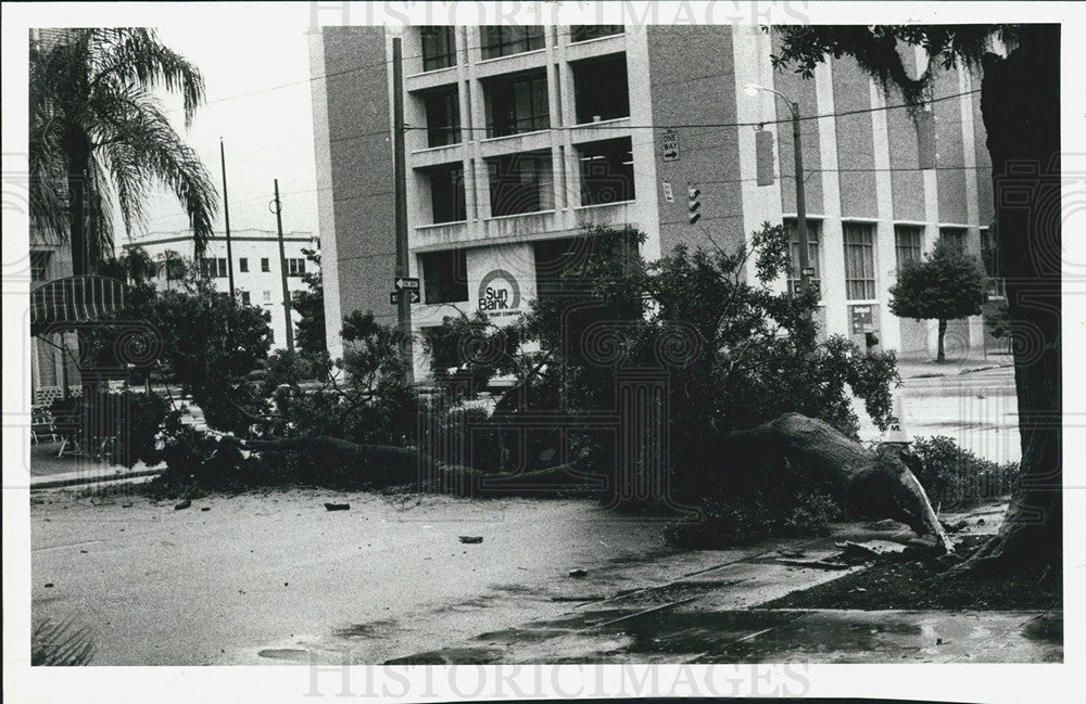 1980 Press Photo Downed Tree, Third Avenue, Fourth Street North - Historic Images