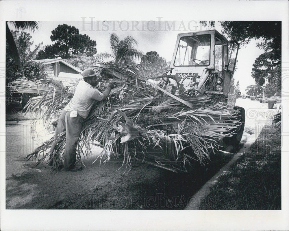 1982 Press Photo City Employee Piles Storm Tossed Palm Fronds At Casino Horsesho - Historic Images