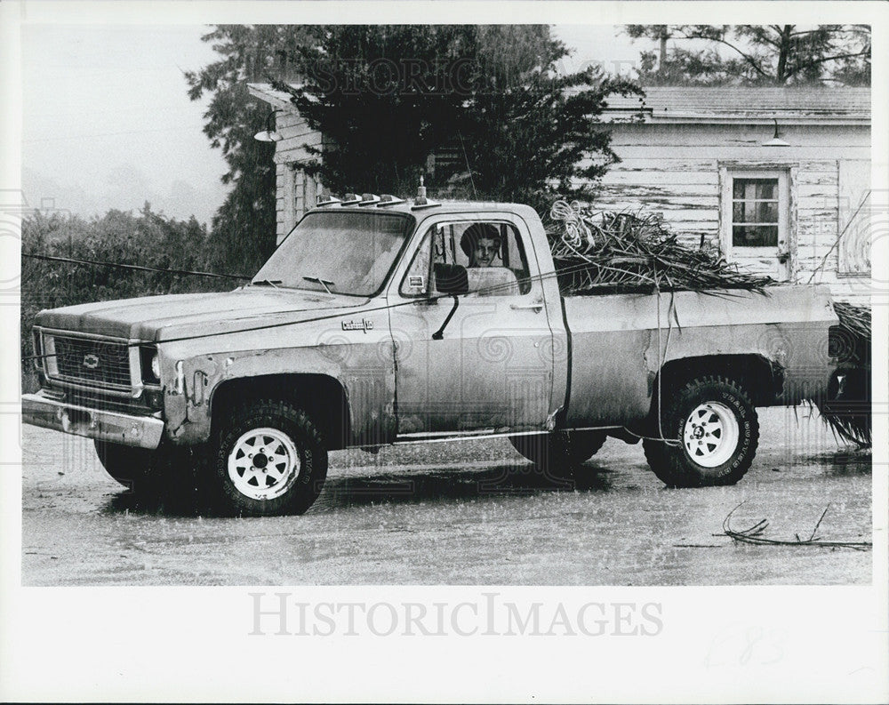 1982 Press Photo Wind damage to trees in Fla being hauled away - Historic Images