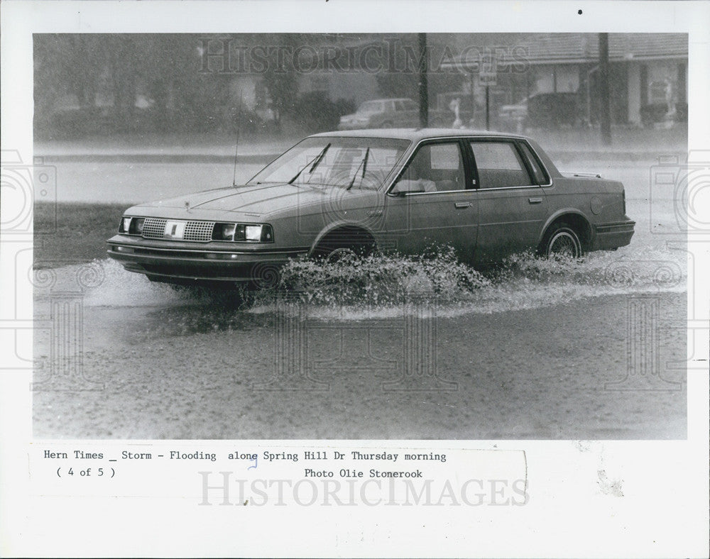 1990 Press Photo Tropical Storm Marco caused flooding in Hernando Co,Fla - Historic Images