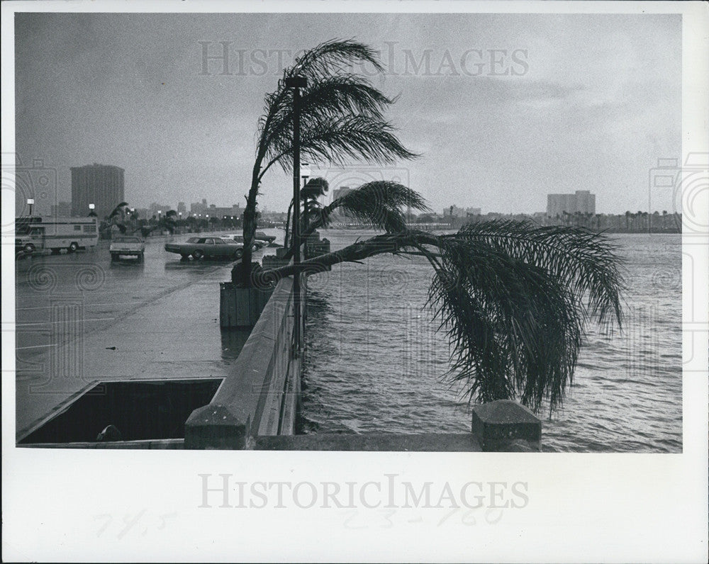 1978 Press Photo Heavy wind and storms in Pinella Co,Fla - Historic Images