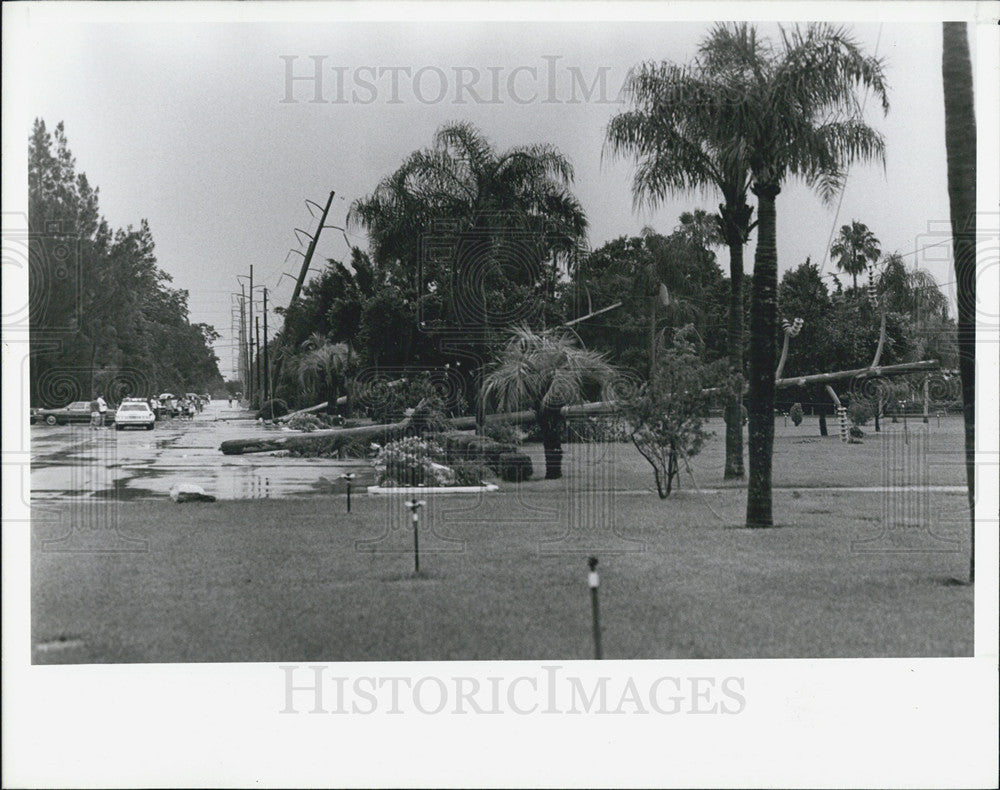 1987 Press Photo Six Power Poles Down In Street In St Petersburg - Historic Images