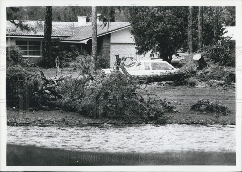 1983 Press Photo Storm damage down trees st. petersburg - Historic Images