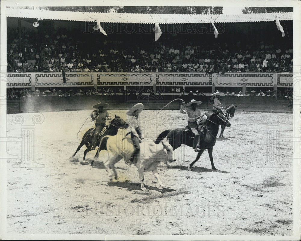 Press Photo Day Of St Michael  Charros In Mexico Ride Horses - Historic Images