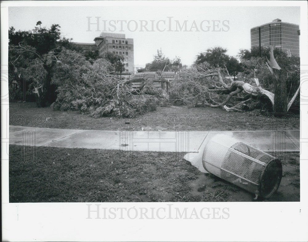 1989 Press Photo Storm Damage Florida Pinellas County - Historic Images