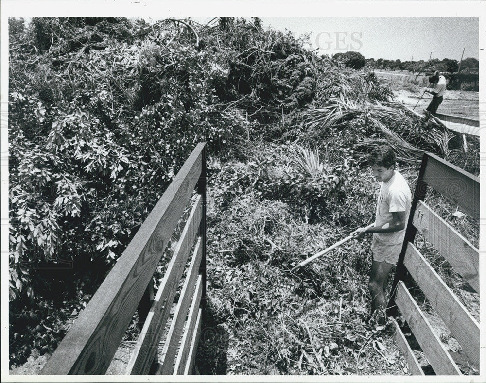 1988 Press Photo Tampa Bay Storm Damage Steve Glazier Debris Azalea Dump - Historic Images