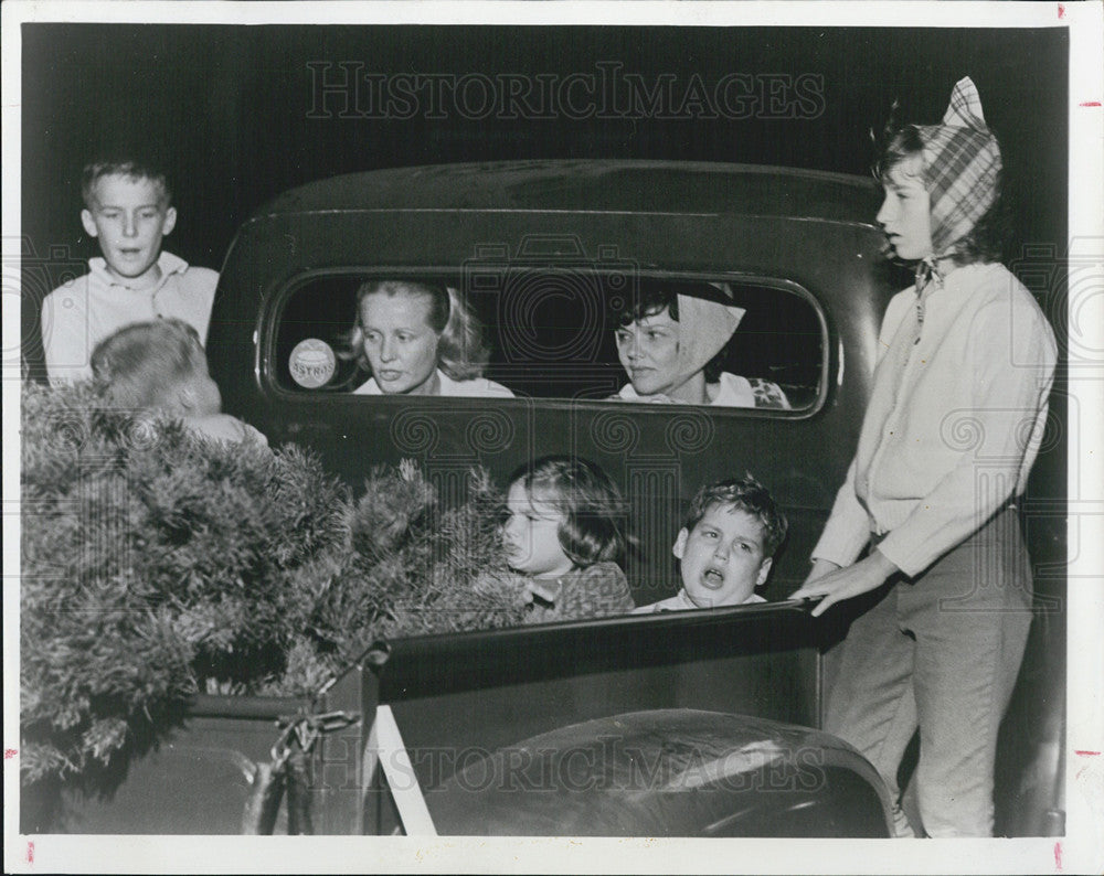 1965 Press Photo Christmas trees are selected. - Historic Images