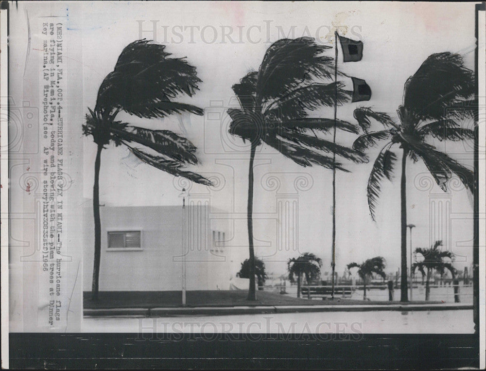 1966 Press Photo Hurricane Flags, Dinner Key Marina, Miami - Historic Images