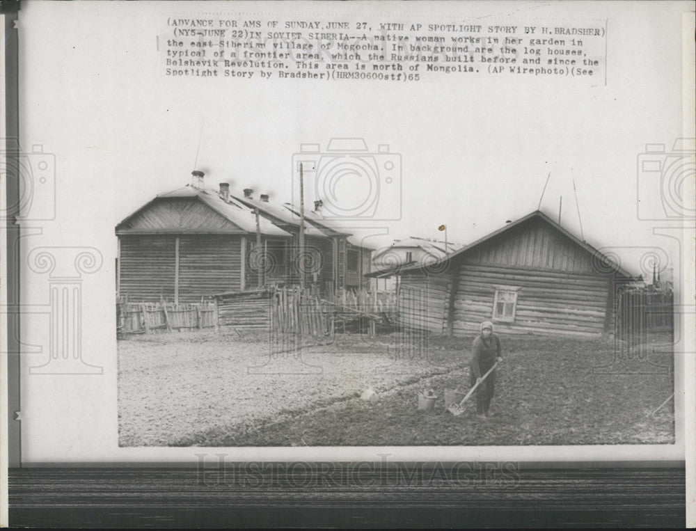 1965 Press Photo a Russian woman works on her garden in the village of Mogocha - Historic Images