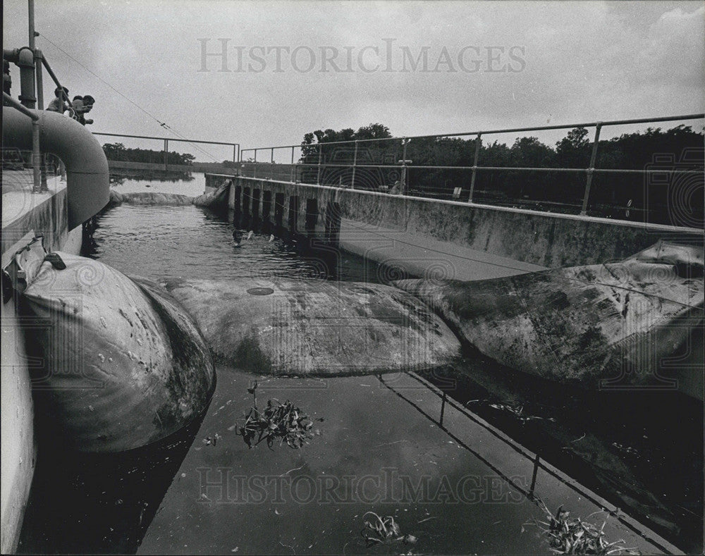 Press Photo Small Fabridams form of the End of 86 Long Alongside the Main Weir - Historic Images