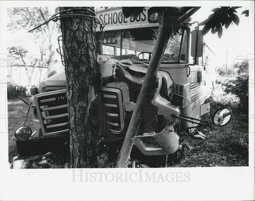Pinellas County School Bus Crashed In A Tree No Children Was Hurt 1987 pinellas-county-school-bus-crashed-in-a-tree-no-children-was-hurt-1987