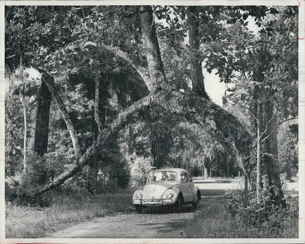 Press Photo Car Drives Down Rural Road - Historic Images