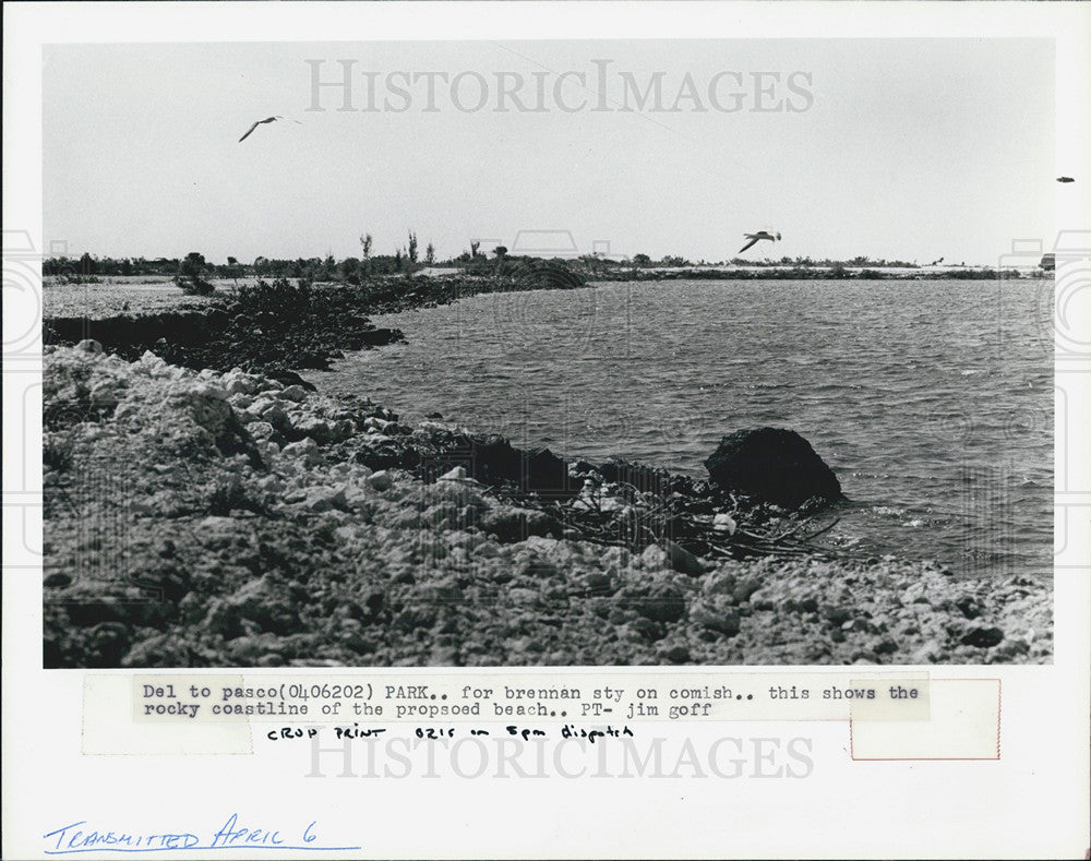 1982 Press Photo Shoreline, Harbor Lights Cove Property - Historic Images