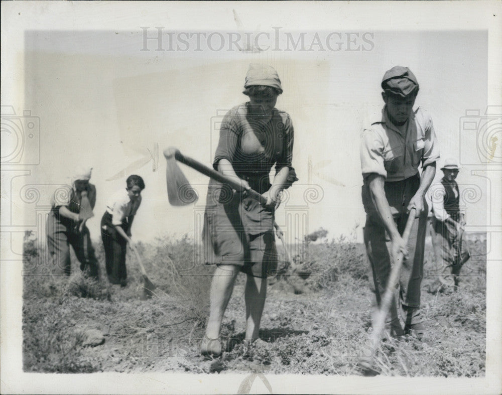 1947 Press Photo Women working on the Lanza Brothers&#39; farm demonstrated for wage - Historic Images