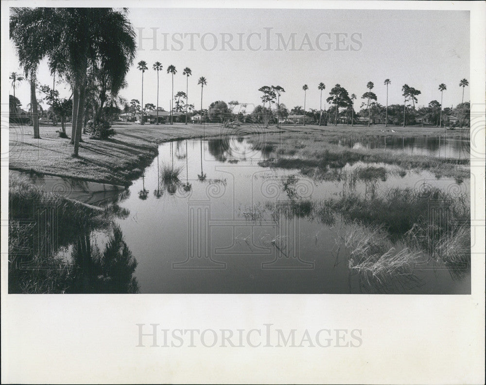 1968 Press Photo Laluq Sheffield - Historic Images