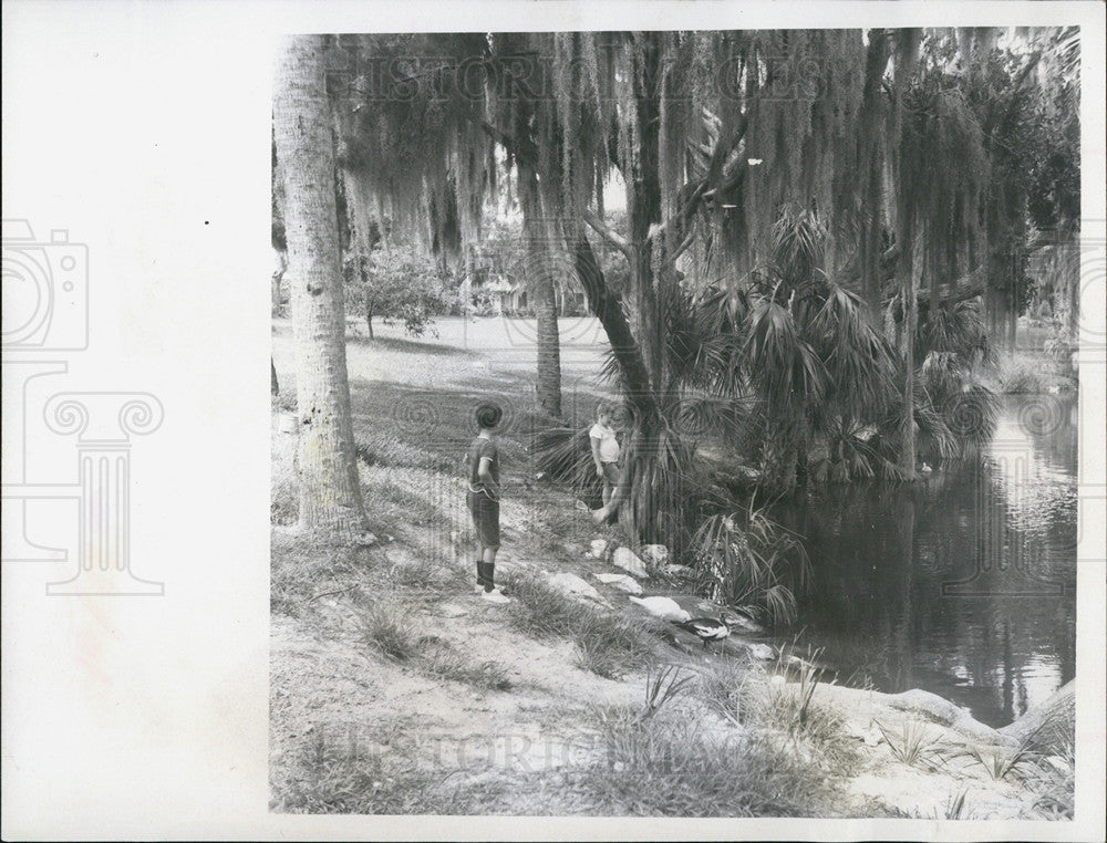 1969 Press Photo Floridian Youngsters Play With Ducks By Orange Lake - Historic Images