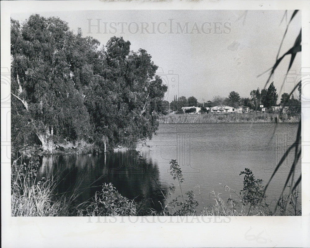 1977 Press Photo lake St pete - Historic Images