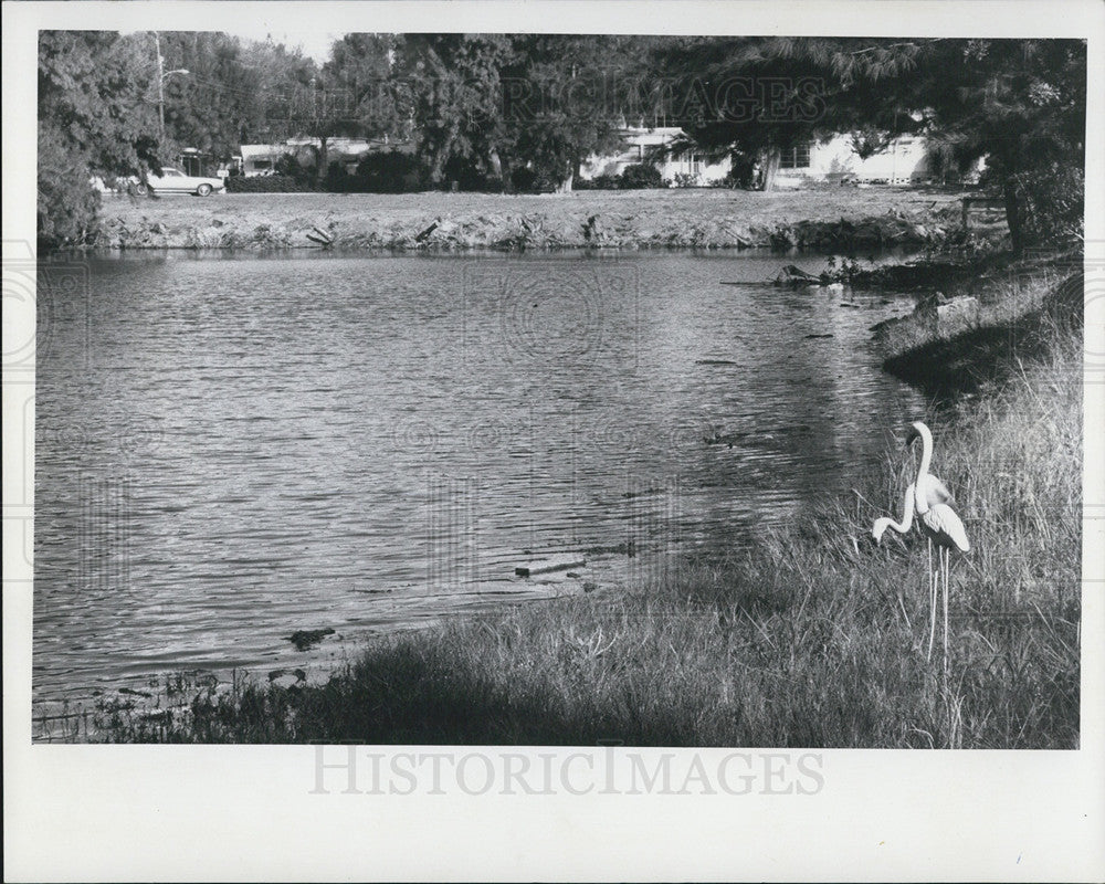 1973 Press Photo St Pete - Historic Images