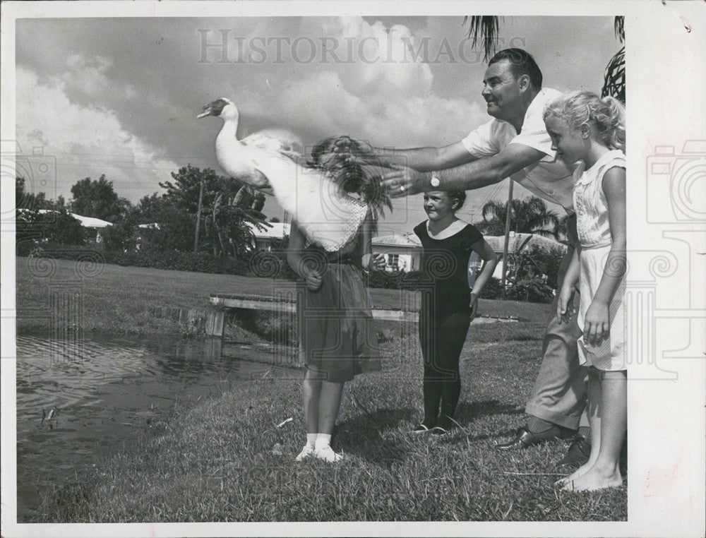 1959 Press Photo Duck, Venus Lake, Clearwater - Historic Images