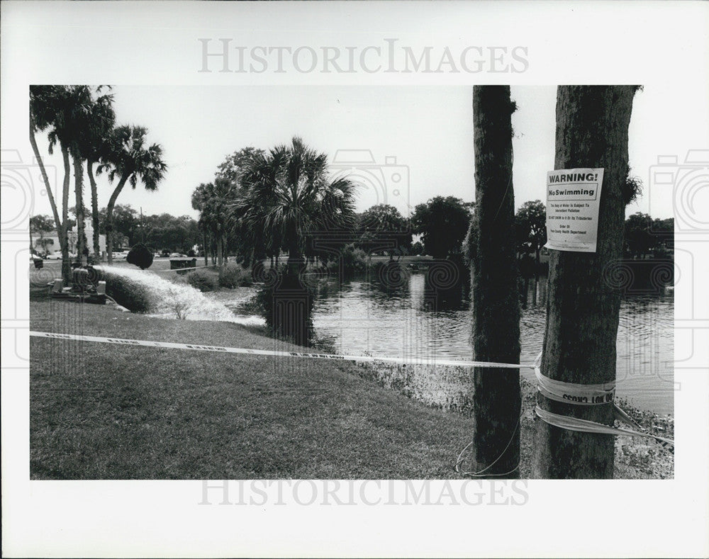 1987 Press Photo 11,000 Fish Die In Orange Lake As Result Of Fire - Historic Images