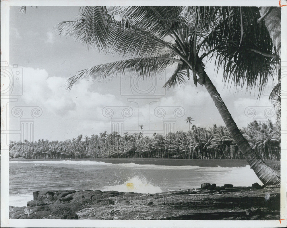 Press Photo Waves Crashing On Tropical Beaches Of The Hawaiian Islands - Historic Images