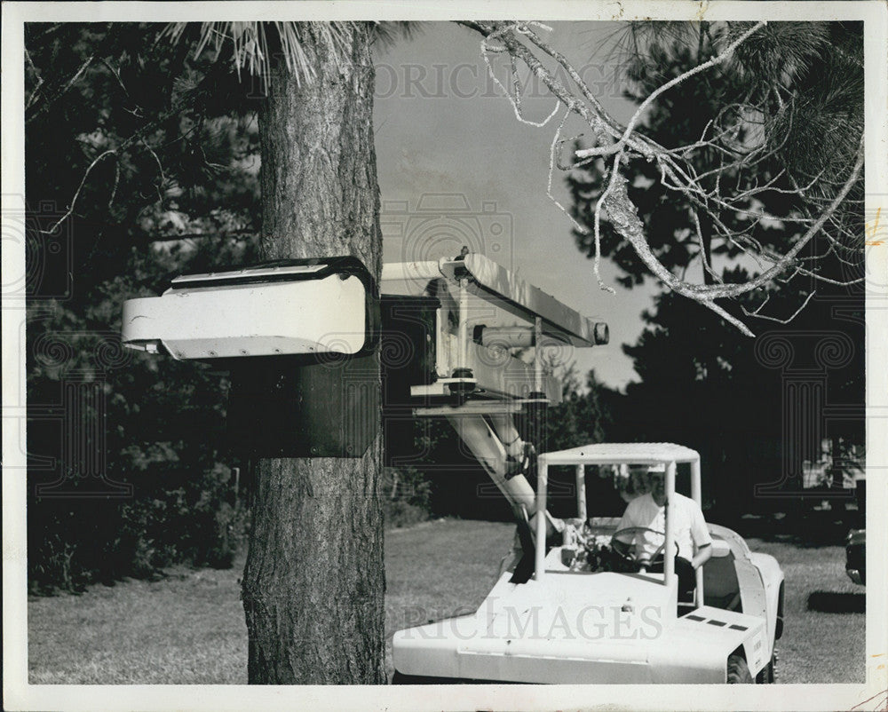 1967 Press Photo Mechanical Harvester gives Pines a jolt. - Historic Images