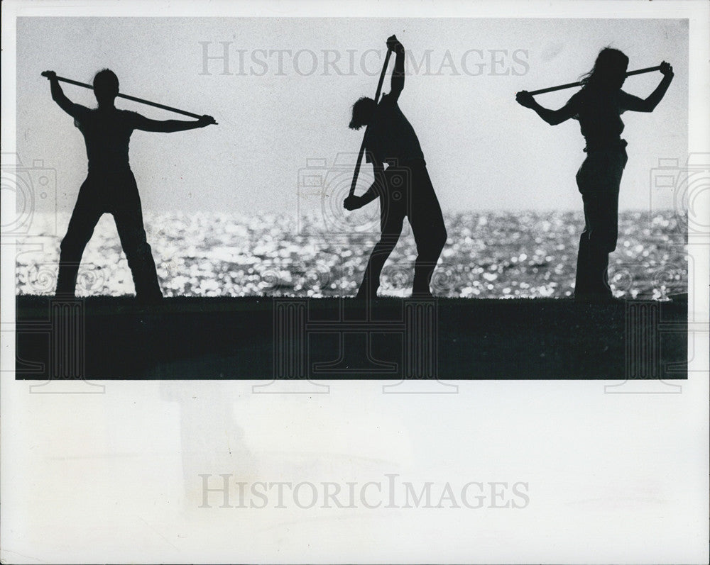 1981 Press Photo Tai Chi in the Park - Historic Images