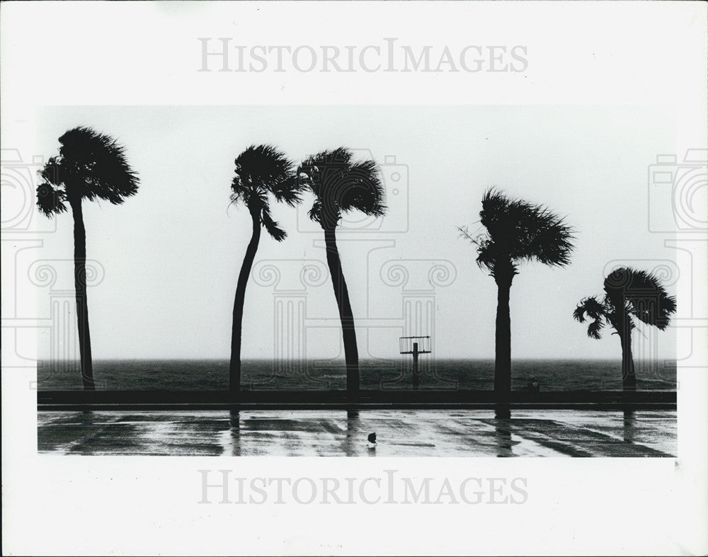 1987 Press Photo Stormy weather at Clearwater Beach - Historic Images