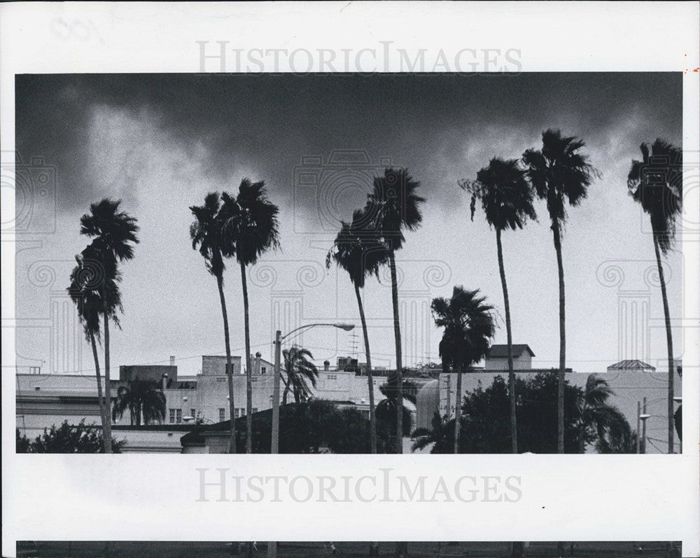 1983 Press Photo Storms at downtown St. Petersburg - Historic Images