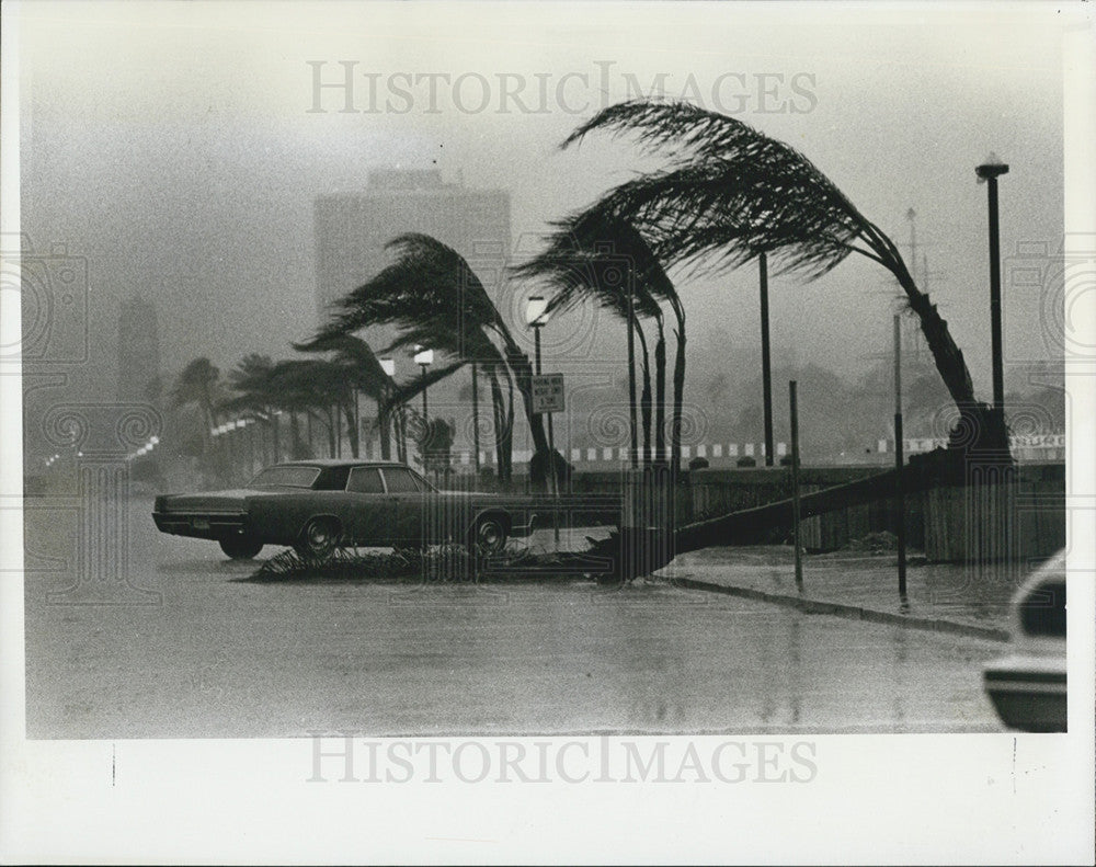 1978 Press Photo Winter Rain Storm, St Petersburg, Florida - Historic Images