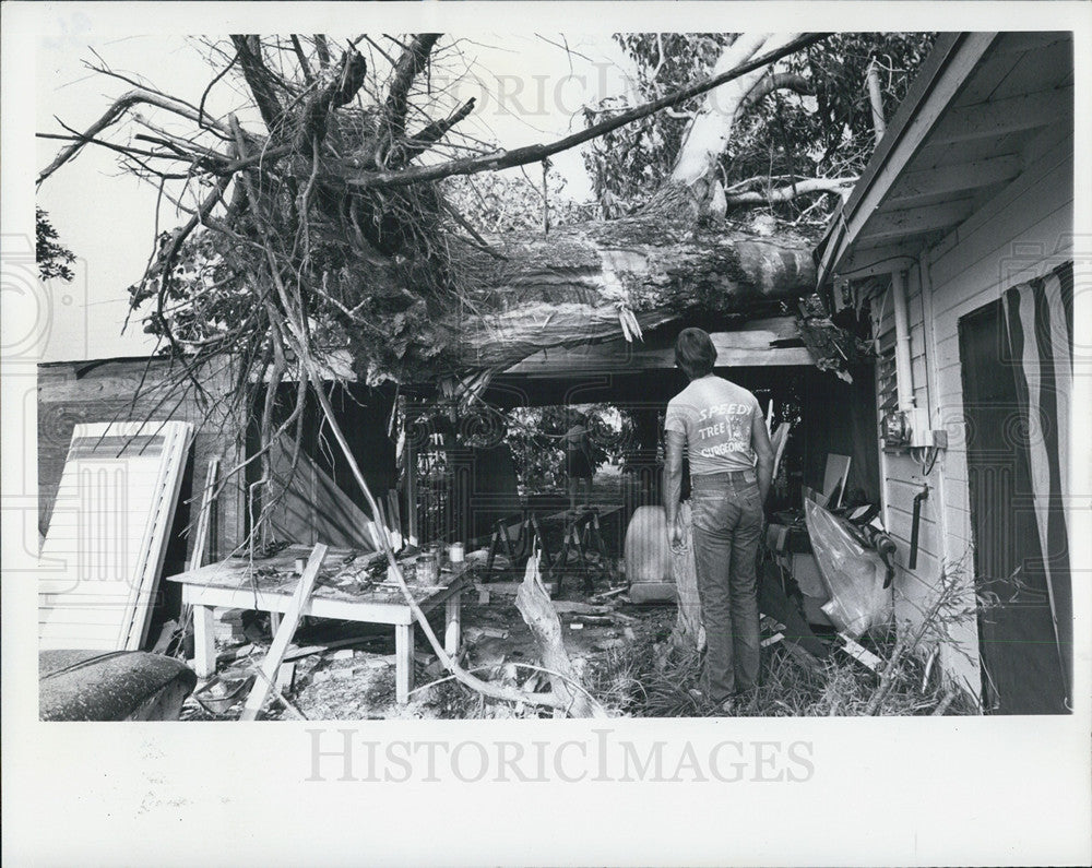 1977 Press Photo John Taylor, Speedy Tree Service, SPCA, Congress Street - Historic Images