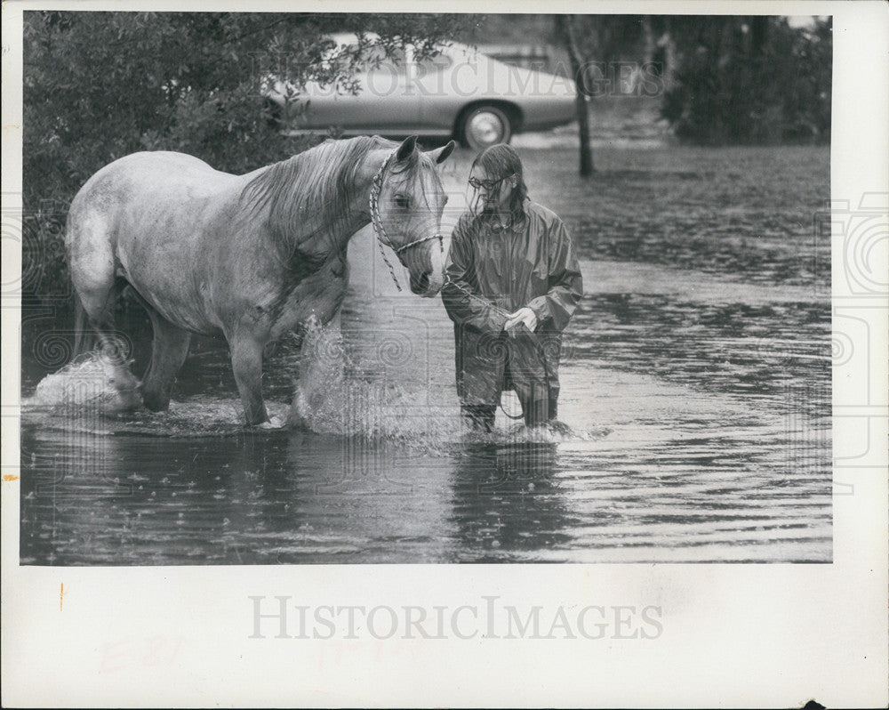 1969 Press Photo Flood Gina Hellweg Horse Higher Ground - Historic Images