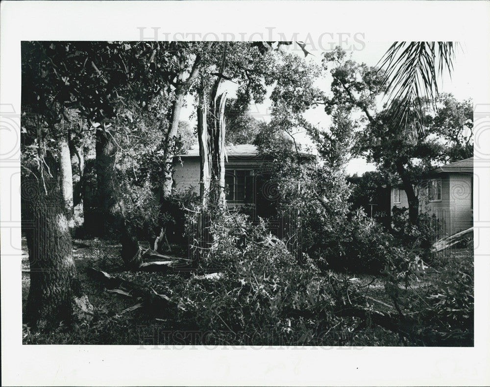 1981 Press Photo Storm Damage Thunderstorm St Petersburg - Historic Images