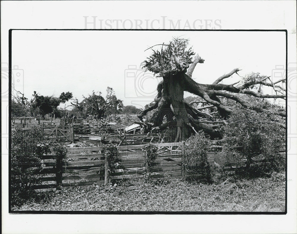 1987 Press Photo Sumter County in the wake of a tornado - Historic Images