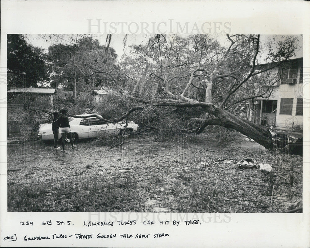 1982 Press Photo Lawrence Tukes &amp; James Golden look over damage a fallen limb - Historic Images