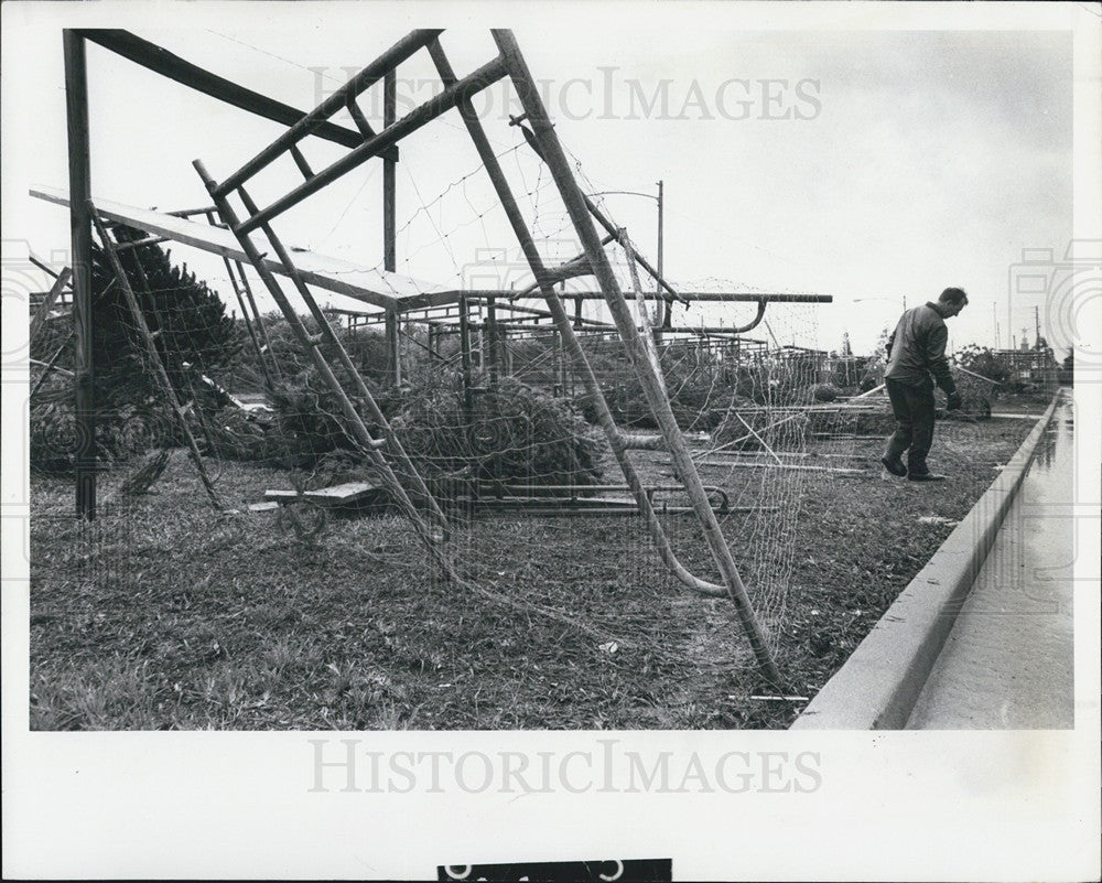 1981 Press Photo Tornado in St. Petersburg - Historic Images