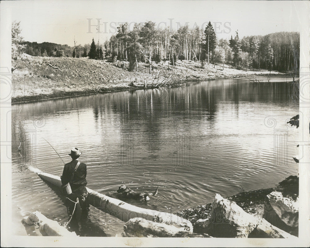 Press Photo Small ponds stocked w/ trout found in mountain country New Mexico - Historic Images