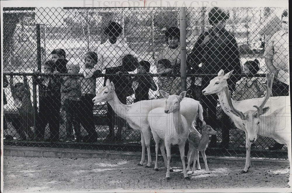 1969 Press Photo Indian Boundary Park Zoo - Historic Images