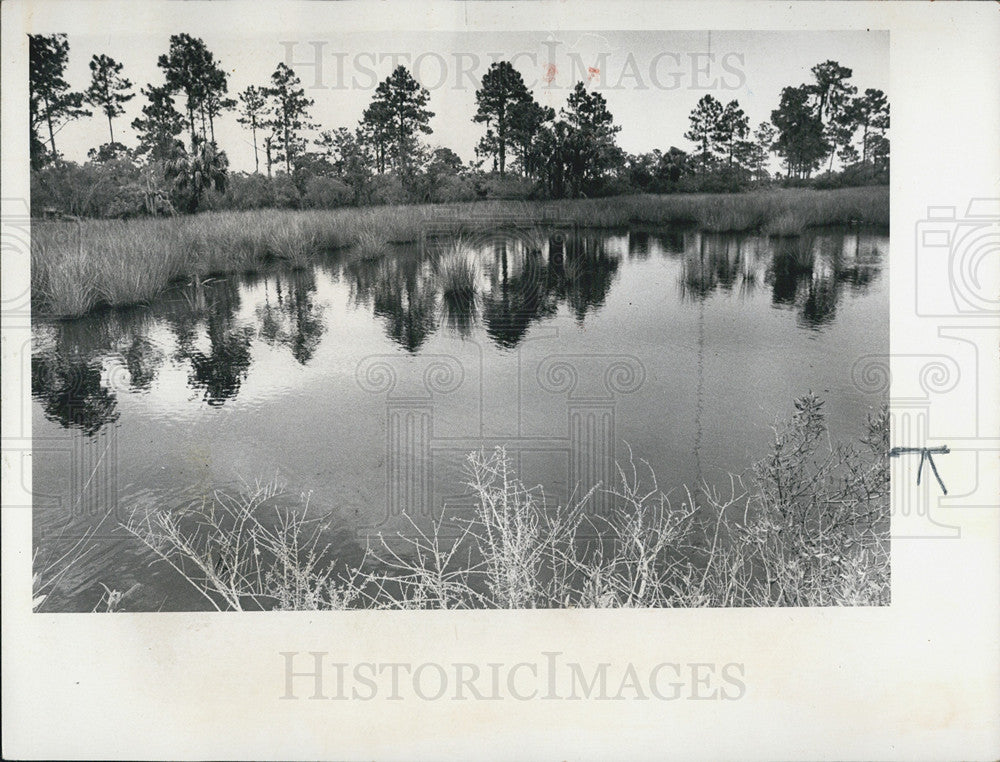 1973 Press Photo A nice view of Florida&#39;s suncoast - Historic Images