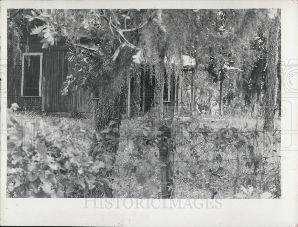 1972 Press Photo House buried in the Florida scenery - Historic Images