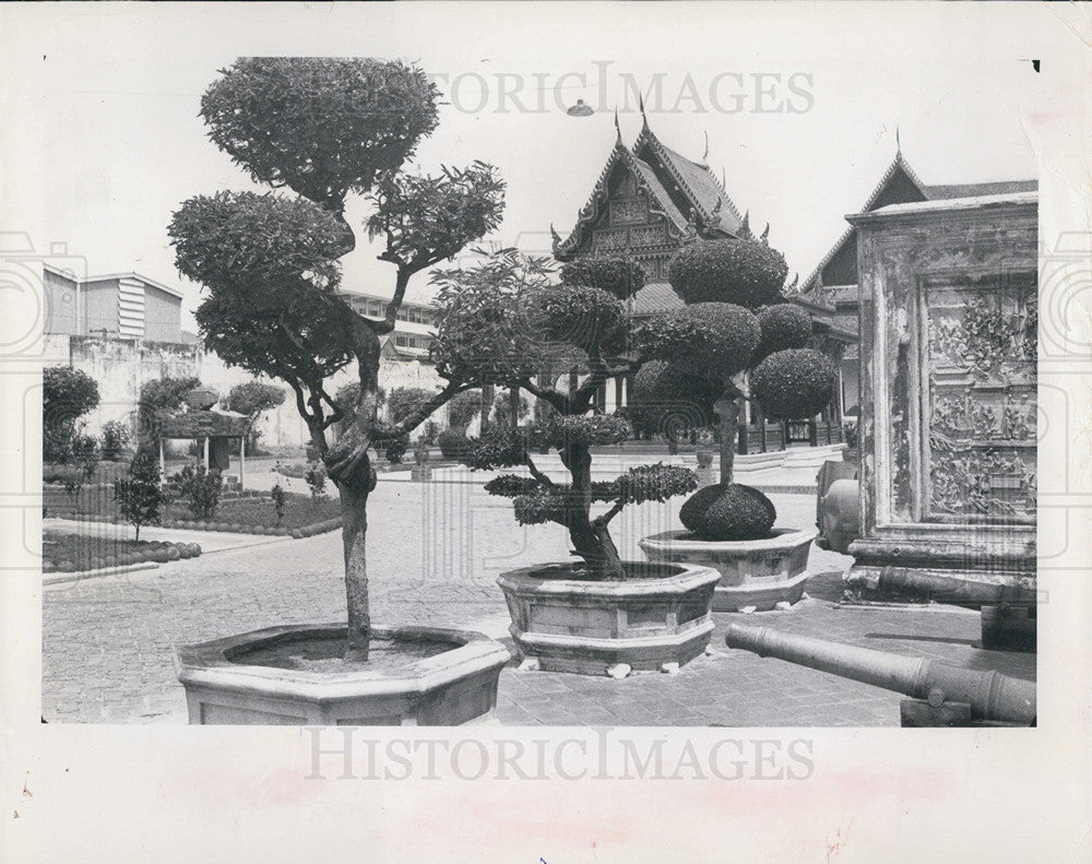 1963 Press Photo Thailand Bangkok Trimmed Trees Landscaping - Historic Images