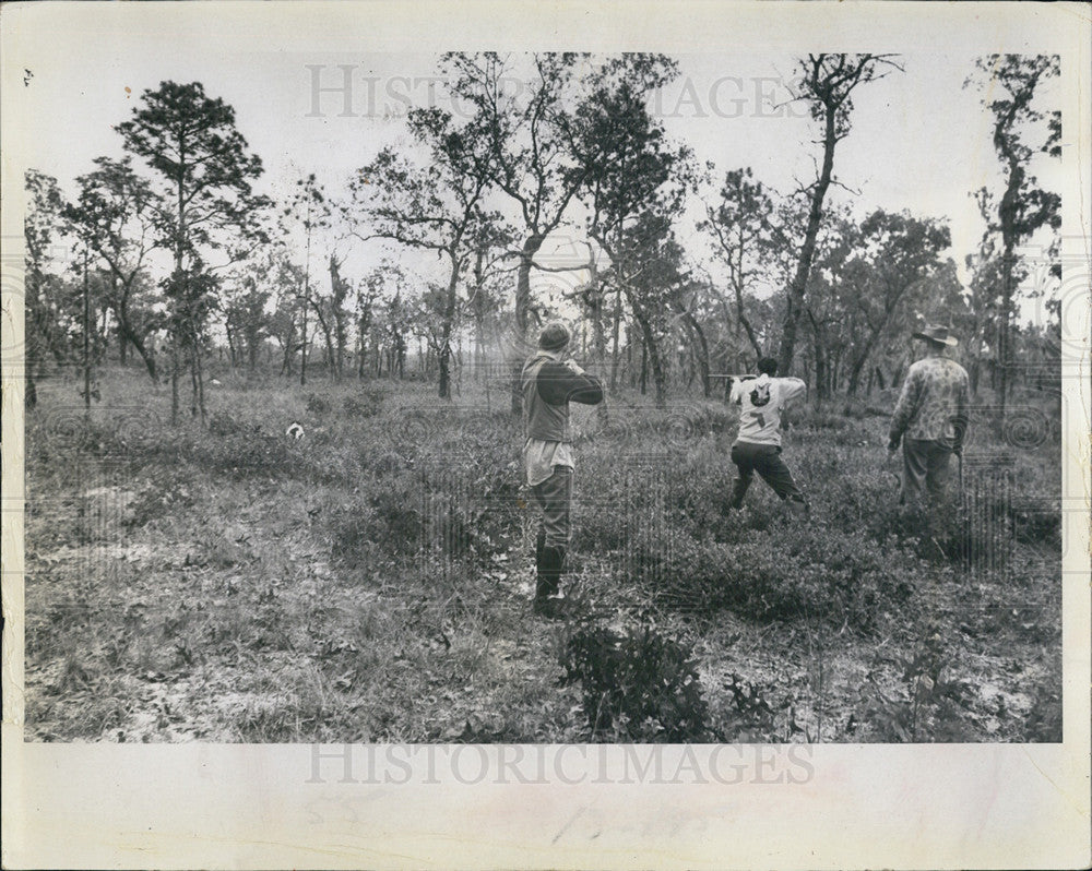 1978 Press Photo Florida Ample Open Space State Hunting Environmental Preserve - Historic Images