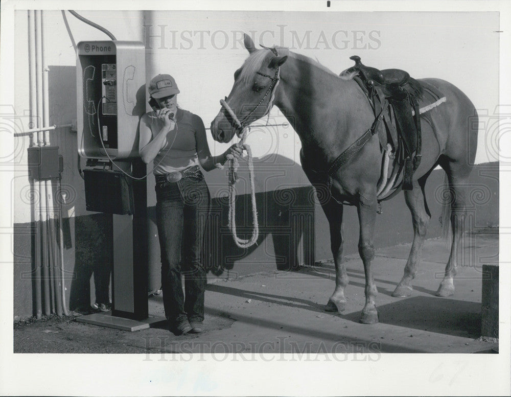 1984 Press Photo Palomino Toffy Waits As Rider Makes Call At Sul Ross State Univ - Historic Images