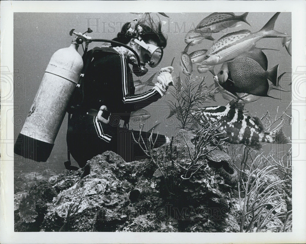 1972 Press Photo Diver Visits Friendly Fish At Coral Reef - Historic Images