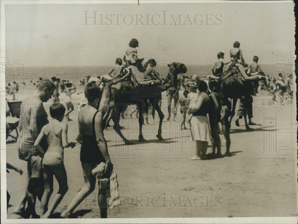 1967 Press Photo Cadiz Camel Rides Along The Beach Spain Tourists - Historic Images