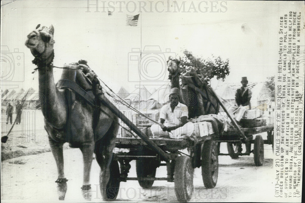 1942 Press Photo Camels, India, US Forces - Historic Images