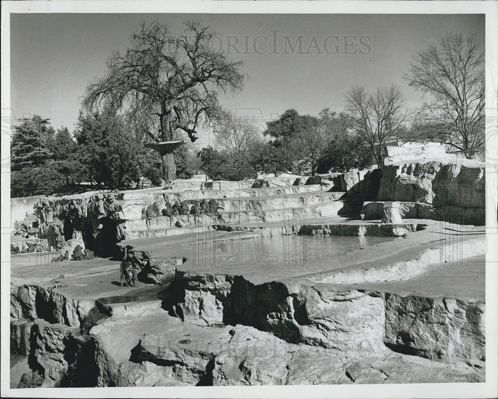 1963 Press Photo Attraction At San Antonio Zoological Gardens - Historic Images