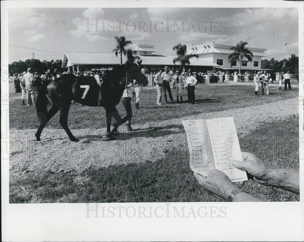 1982 Press Photo Person Holding Numbers Sheet Tampa Bay Downs Before Race - Historic Images