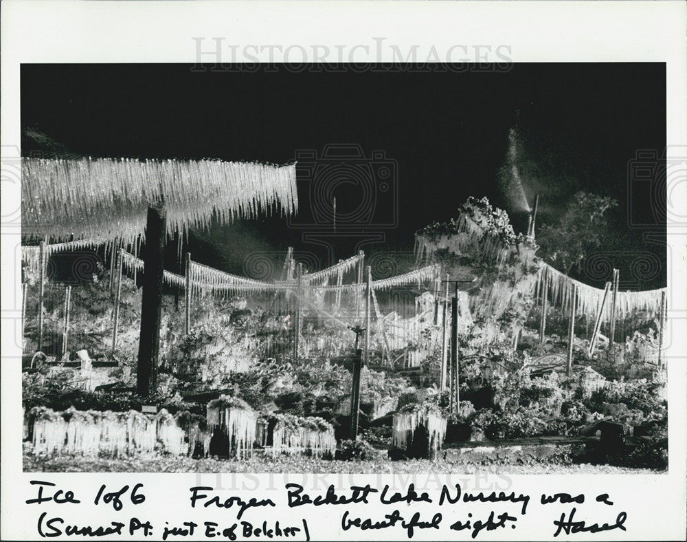 1985 Press Photo Beckett Lake Nursery Frozen Icicles Weather - Historic Images